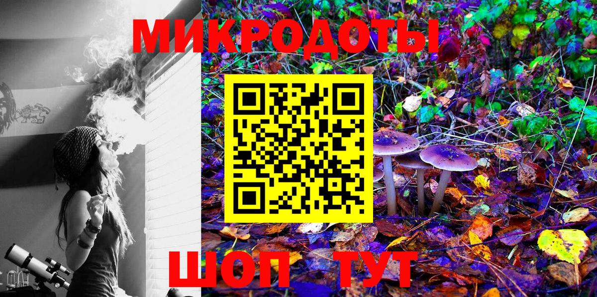 Галлюциногенные грибы MAGIC MUSHROOMS  Вход с VPN  Кингисепп 