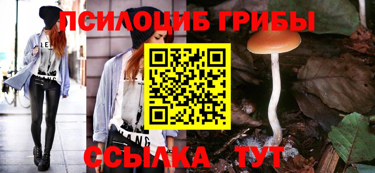 Мефедрон Кингисепп